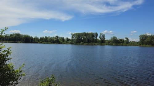 Naturpark Helmlingen: Altrheinweg