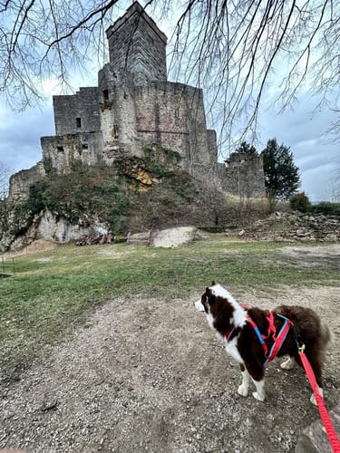 Burg Rötteln - Rümminger Moos