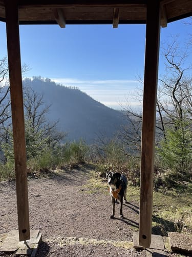Baden-Baden und seine Wälder