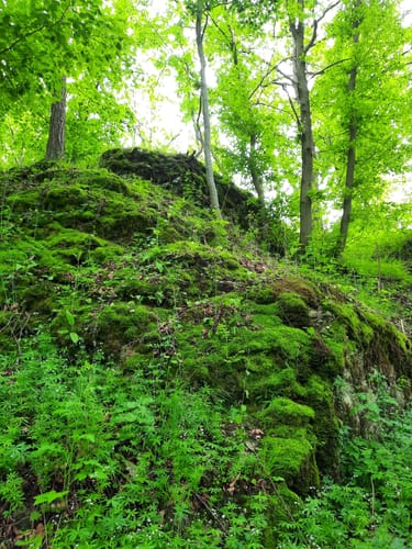 Burg Niesten und Eselsloch über den Felsensteig