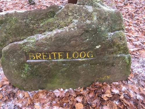 Vom Naturfreundehaus im Heidenbrunner Tal zur Hellerhütte