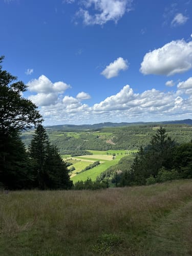 Medebacher Bergweg (Fernwanderweg)