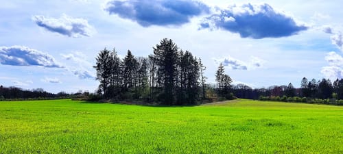 Ohlstedt - Wohldorfer Wald - Duvenstedter Brook