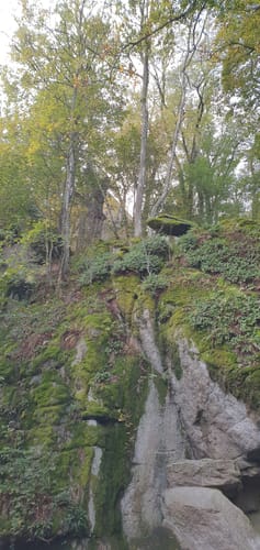 Runde im Schlosspark Falkenstein