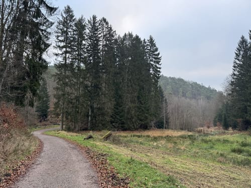 Altschlossfelsen