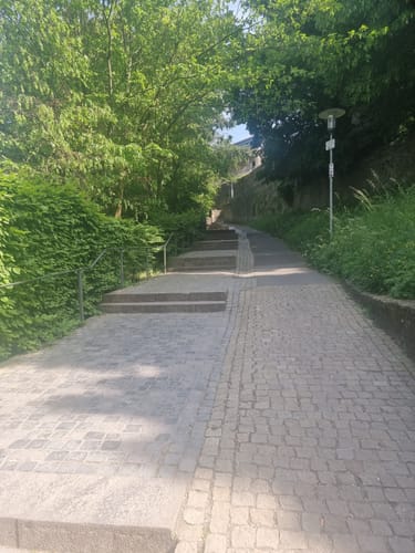 Am Brend in den Burgwallbacher Forst