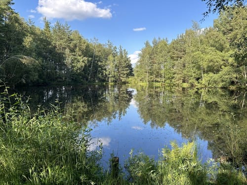 Rund um das Schwenninger Moos