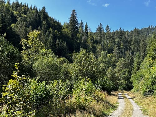 Ab Häusern entlang der Schwarza zum Schwarzasee
