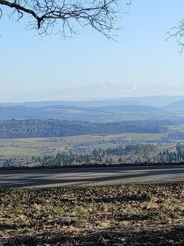 Premiumwanderweg: Wannenbergtour