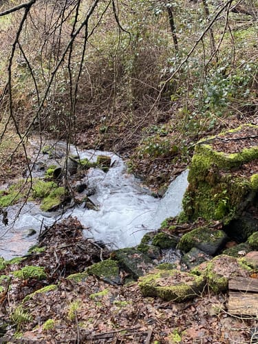 Durchs Waschtal