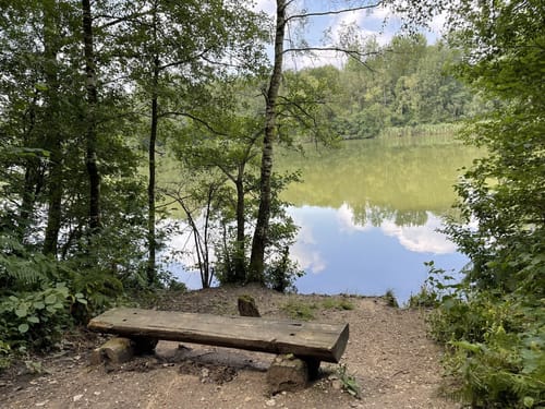 Durch die Kirchhellener Heide zum Heidesee