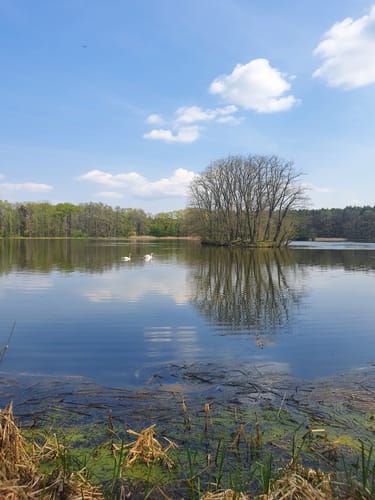 Kauppa: Runde beim Großen Heikteich