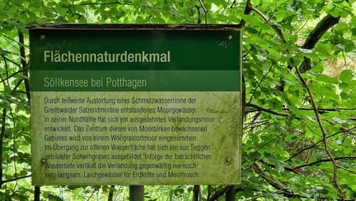 Potthagener Wald