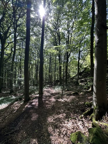 Maulkuppe - Rhönrundweg 14