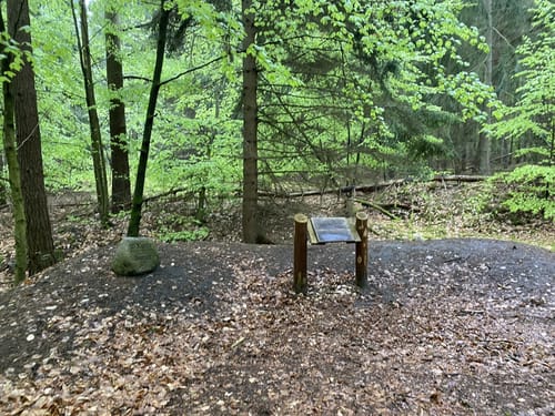 Müritz-Nationalpark und UNESCO Weltnaturerbe Serrahner Buchenwälder