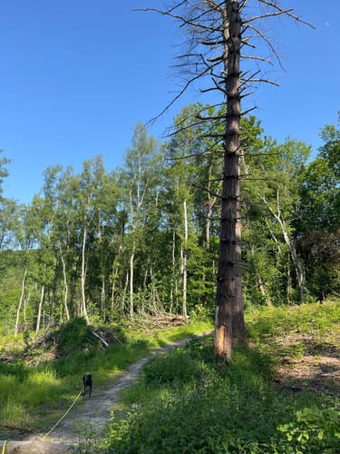 Bergbauwanderweg