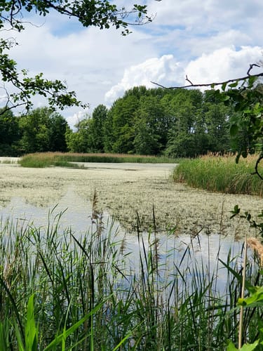 Teichrunde bei Mönau