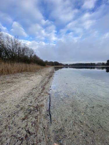Um den Bergsee Alt Gaarz