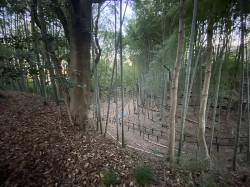 城趾 小机城址 - hikes and trails to get you there | AllTrails