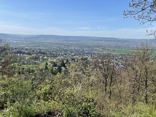 Rheinsteig-Exkursion Schauinsland
