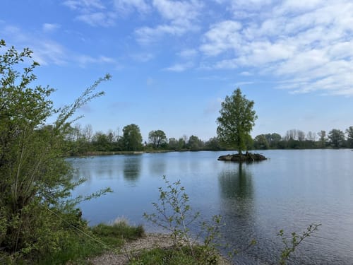 Kleine Runde um den Böhmerweiher