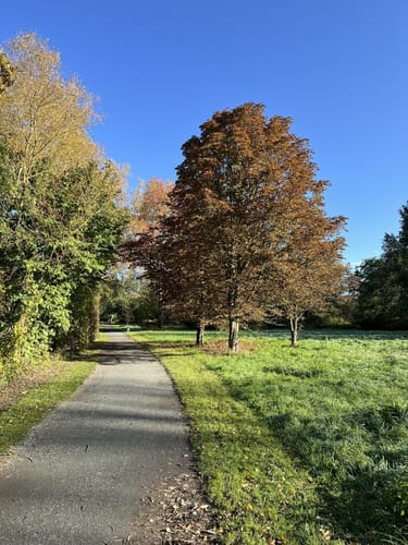 Südsee Rundwanderung