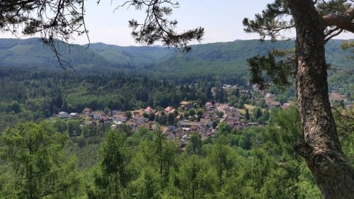 Wasgau Seen Tour (Premiumwanderweg)