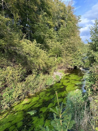 Neckartäler Hangweg