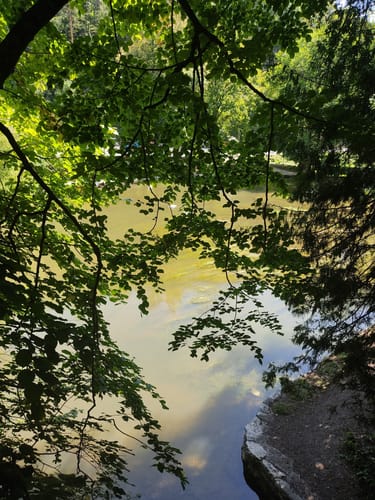 Aacher Geißbock (Premiumwanderweg)
