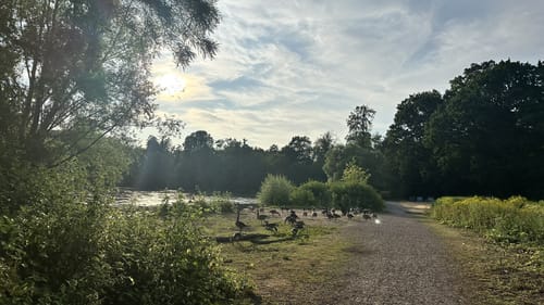 Rundwanderweg Darmstadt Steinbrücker Teich 1: Kahler Berg-Weg