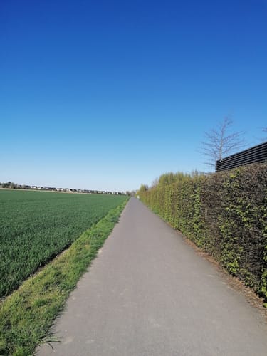 Rund um den Zülpicher See