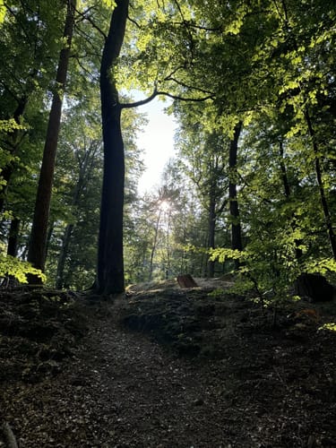 Hermannsdenkmal und Grotenburg