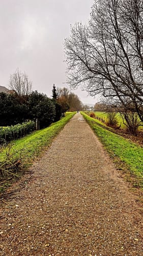 Der Heideweg