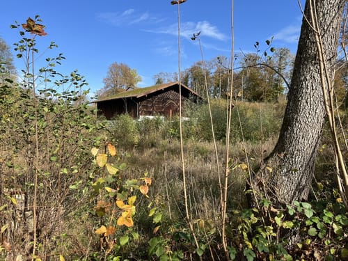 Eggstätter Seenplatte