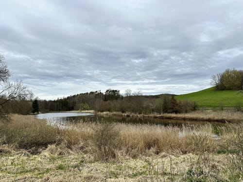 Über den Prälatenweg und rund um den Affenberg