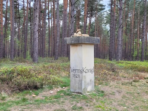 Heidschnuckenweg Etappe 10: Faßberg - Oberoher Heide