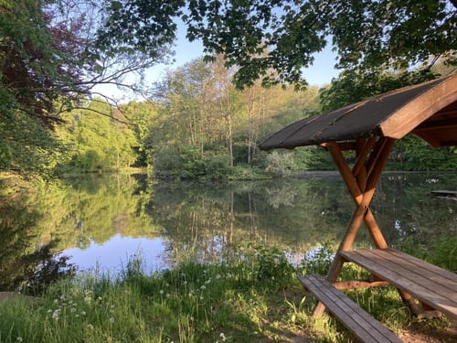 Talsperre Seebach - Burg Seebach