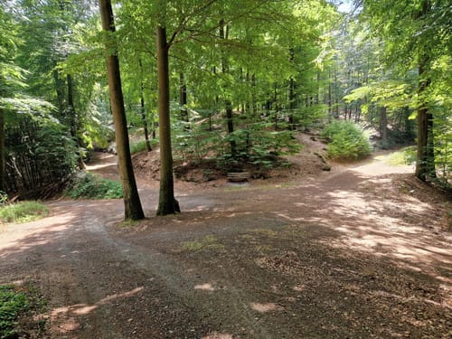 Großer Humberg und Mittlerer Specht