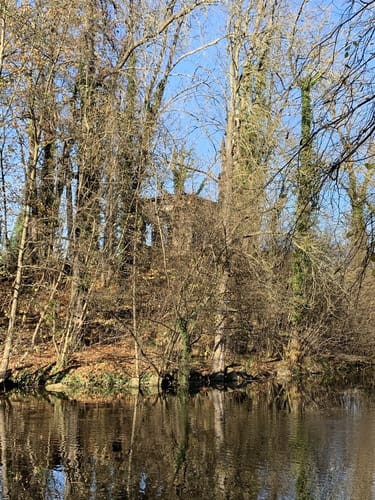 Schlosspark Monrepos