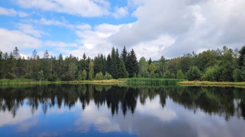 Kammweg Erzgebirge-Vogtland Etappe 5: Olbernhau - Kühnhalde