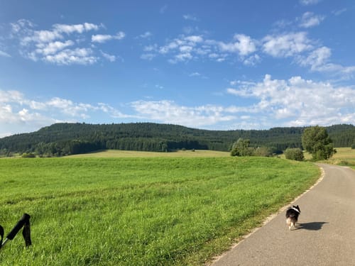 Donau-Zollernalb-Weg Etappe 10: Schömberg - Lemberg