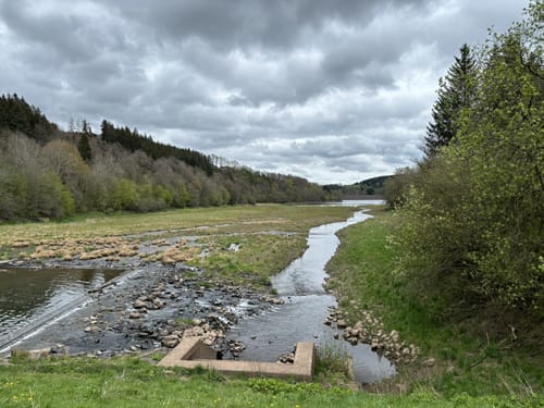 EifelSchleife Kronenburger See (Gemeinde Dahlem)