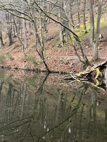 Von Eselsfürth durchs Eselsbachtal