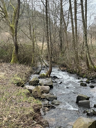 Von Eselsfürth durchs Eselsbachtal