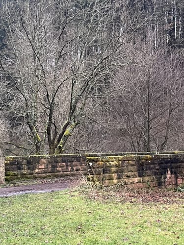 Von Eselsfürth durchs Eselsbachtal