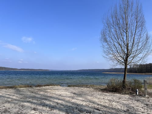 Um den Werbellinsee