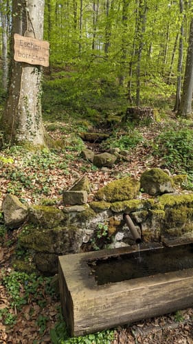 Lahnwanderweg Etappe 13: Weilburg - Aumenau