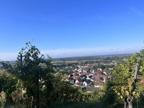 Zwingenberg: Schloss Auerbach und Melibokus