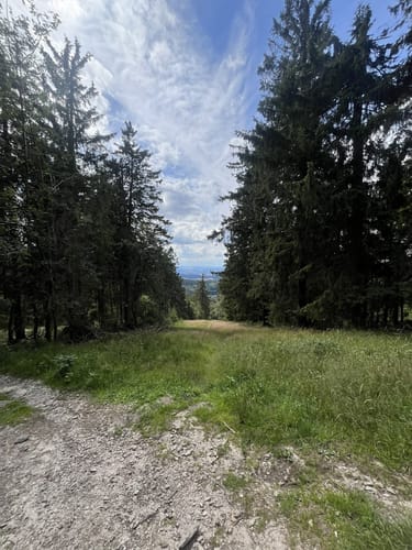 Im Teufelsquartier um den großen Feldberg
