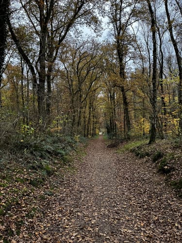 Pieterpad Etappe 2.3: Braamt - Millingen aan de Rijn